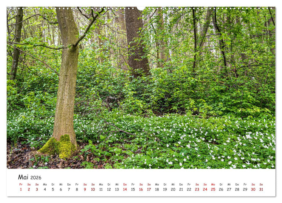 Neusäß - Perle im Schmuttertal (CALVENDO Wandkalender 2026)