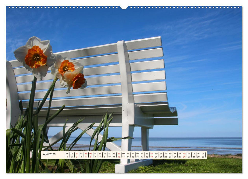 Faszination Sylt (CALVENDO Premium Wandkalender 2026)