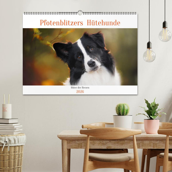 Pfotenblitzers Hütehunde - Hüter der Herzen (CALVENDO Wandkalender 2026)