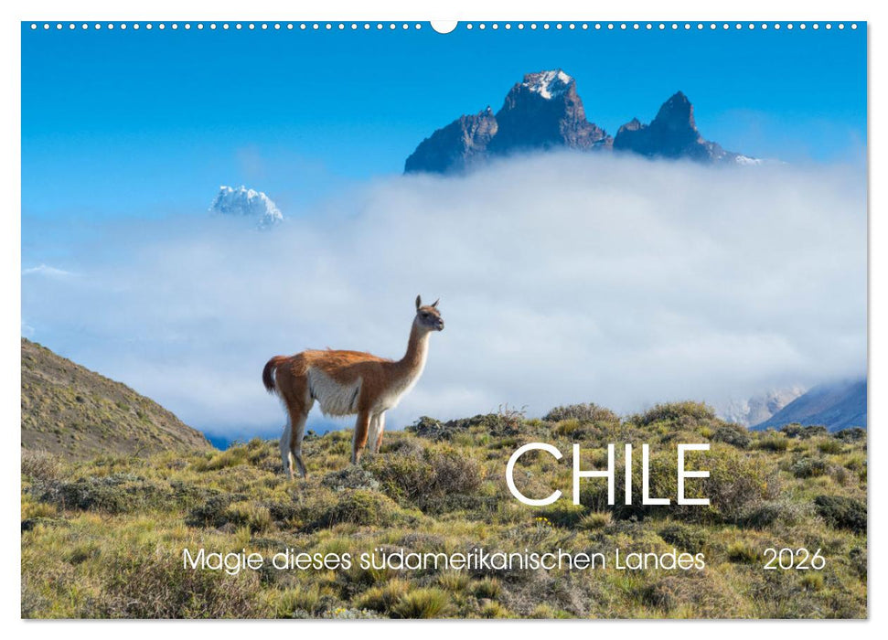 Magie dieses Südamerikanischen Landes, Chile (CALVENDO Wandkalender 2026)