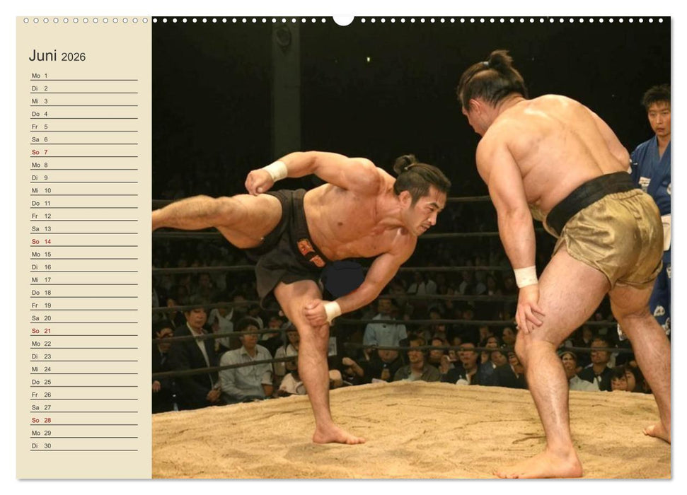 KI Sumo-Kämpfer Im Ring der Giganten (CALVENDO Premium Wandkalender 2026)