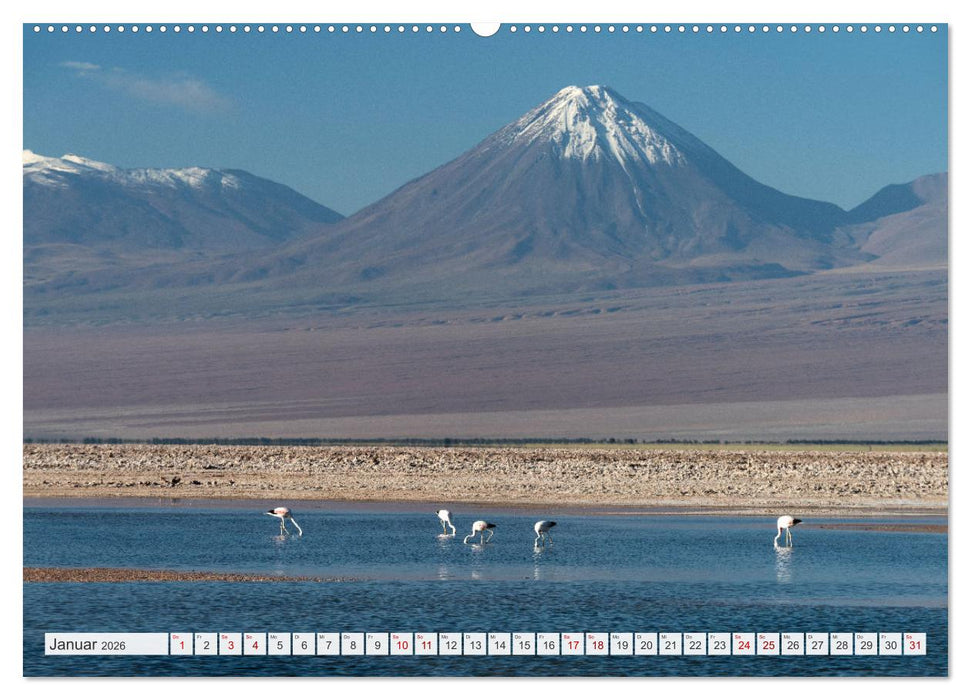 Magie dieses Südamerikanischen Landes, Chile (CALVENDO Premium Wandkalender 2026)