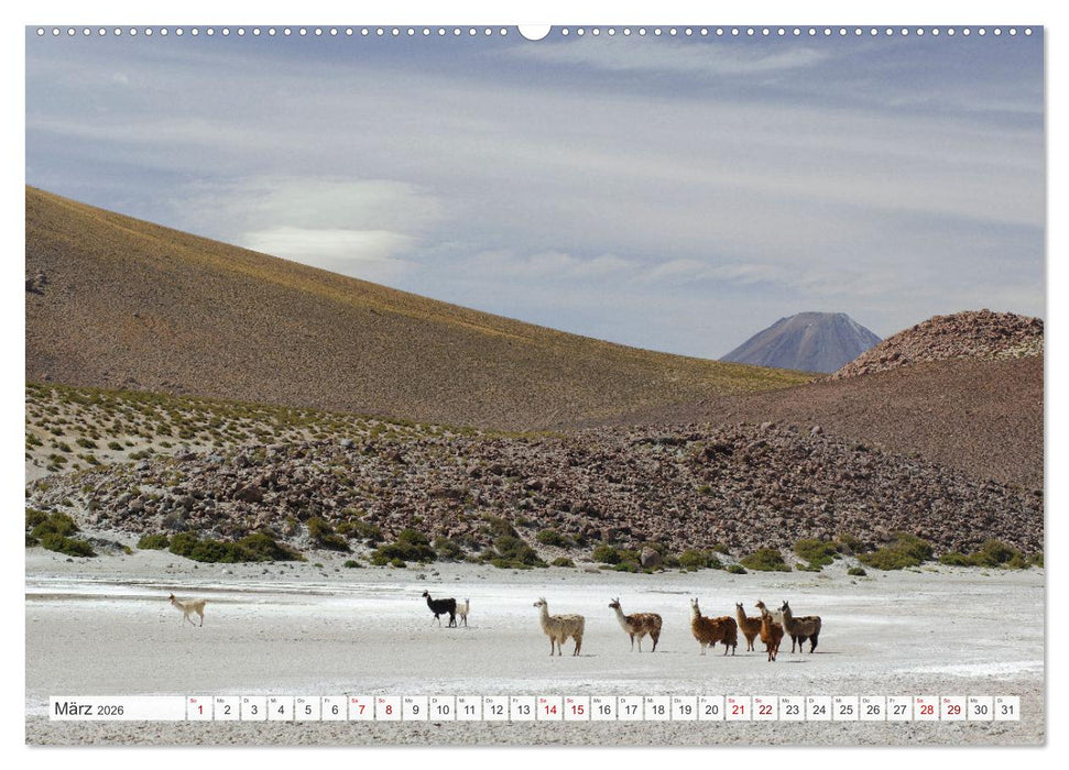 Magie dieses Südamerikanischen Landes, Chile (CALVENDO Premium Wandkalender 2026)