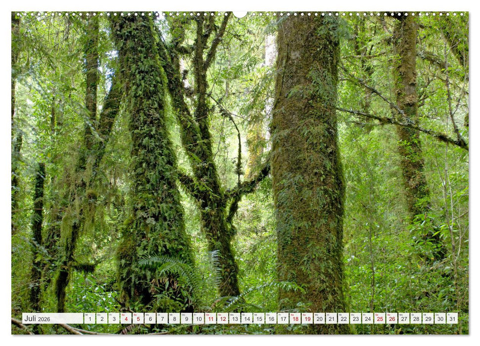 Magie dieses Südamerikanischen Landes, Chile (CALVENDO Premium Wandkalender 2026)