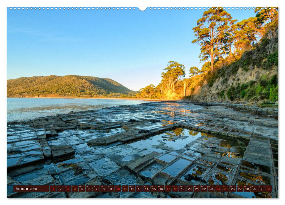 Kraftplatz Wilde Küsten (CALVENDO Premium Wandkalender 2026)