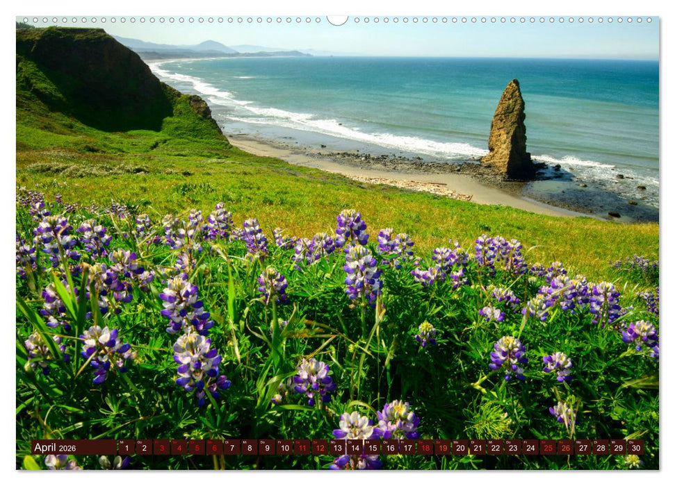 Kraftplatz Wilde Küsten (CALVENDO Premium Wandkalender 2026)