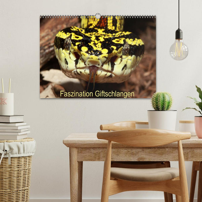 Faszination Giftschlangen (CALVENDO Wandkalender 2026)