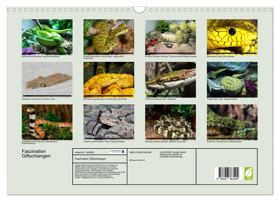 Faszination Giftschlangen (CALVENDO Wandkalender 2026)