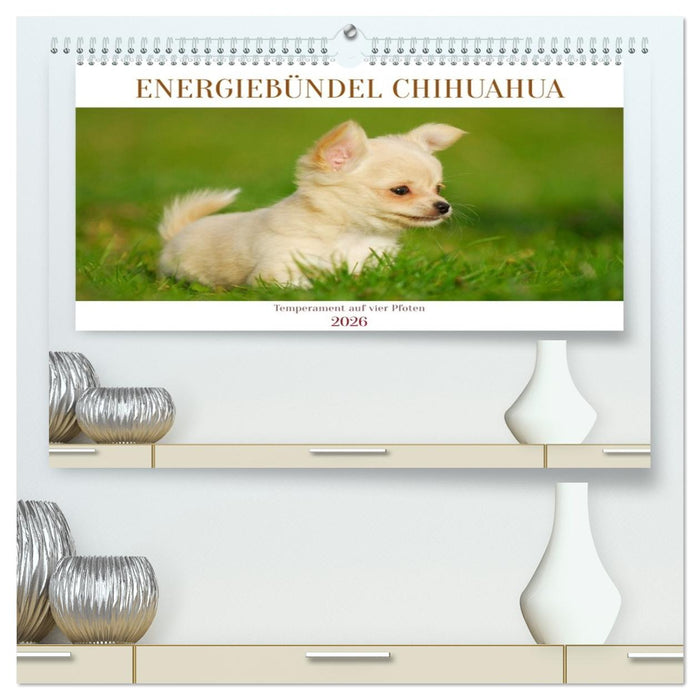 Enegiebündel Chihuahua - Temperament auf vier Pfoten (CALVENDO Premium Wandkalender 2026)