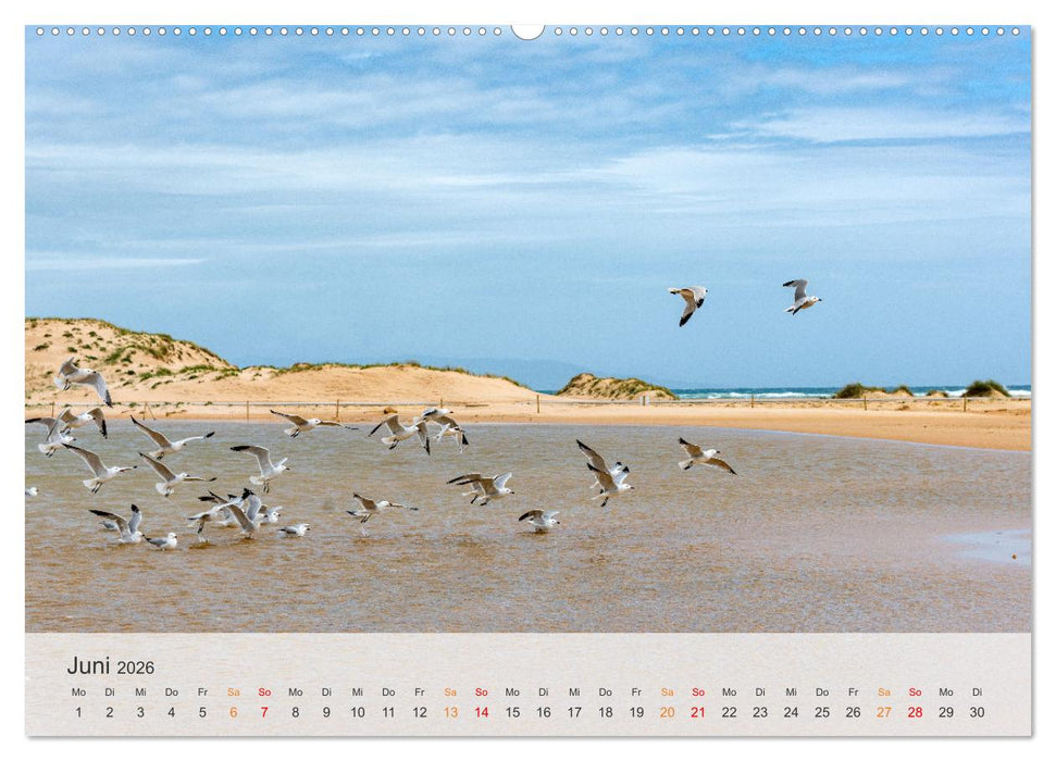 Andalusische Atlantikküste (CALVENDO Premium Wandkalender 2026)