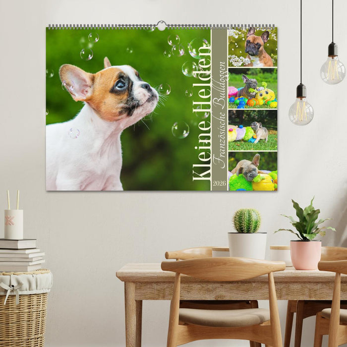 Kleine Helden - Französische Bulldoggen (CALVENDO Wandkalender 2026)