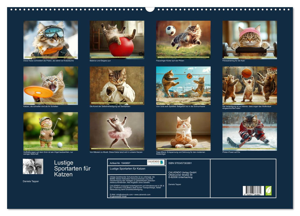 Lustige Sportarten für Katzen (CALVENDO Wandkalender 2026)