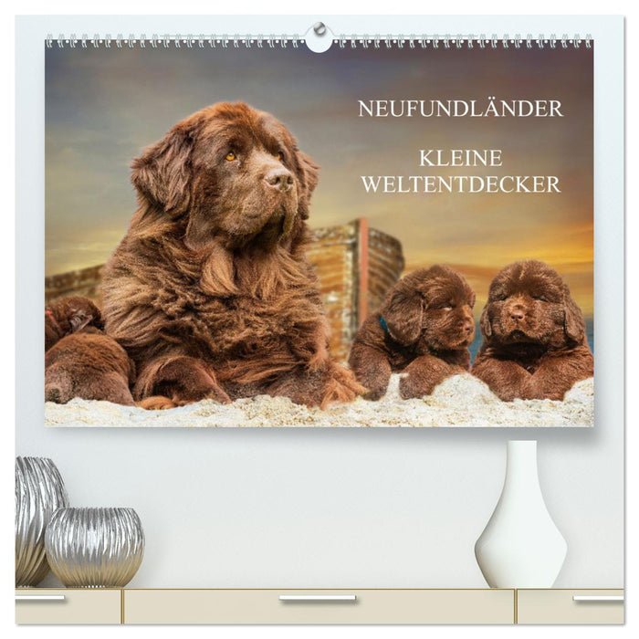 Neufundländer - Kleine Weltentdecker (CALVENDO Premium Wandkalender 2026)
