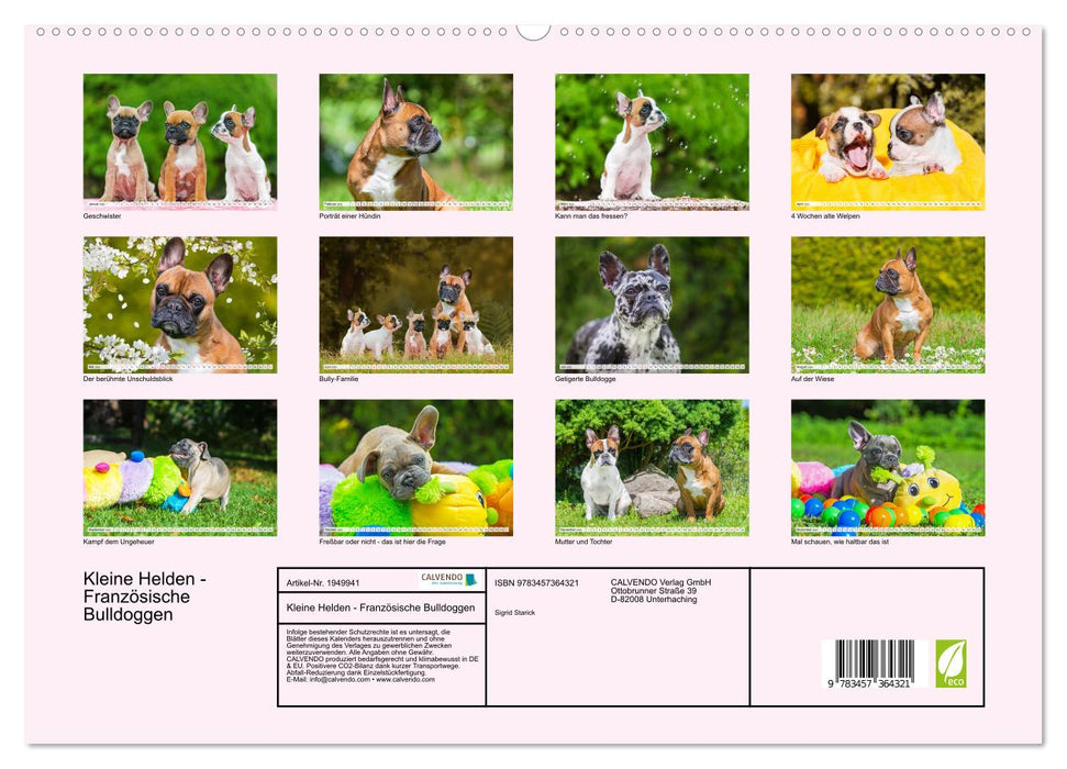 Kleine Helden - Französische Bulldoggen (CALVENDO Premium Wandkalender 2026)