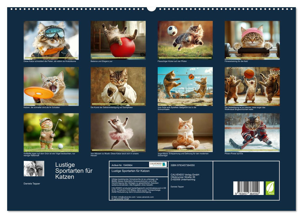 Lustige Sportarten für Katzen (CALVENDO Premium Wandkalender 2026)