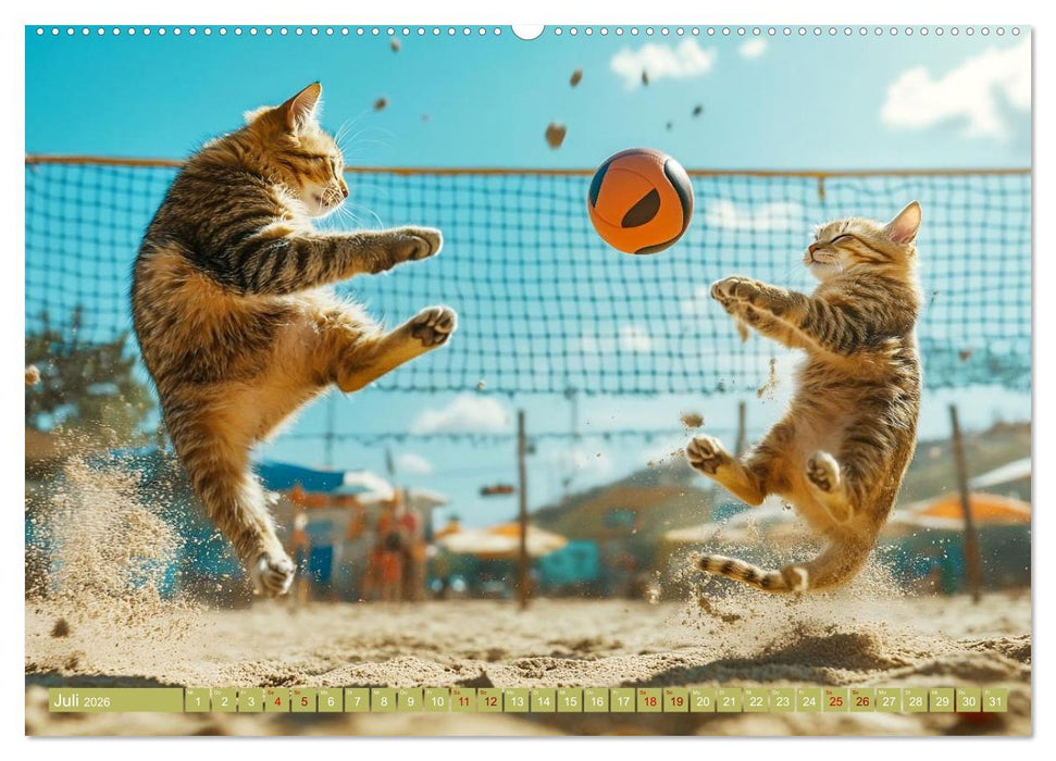 Lustige Sportarten für Katzen (CALVENDO Premium Wandkalender 2026)