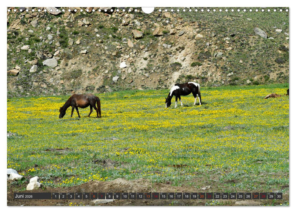 Ladakh - Zanskar (CALVENDO Wandkalender 2026)