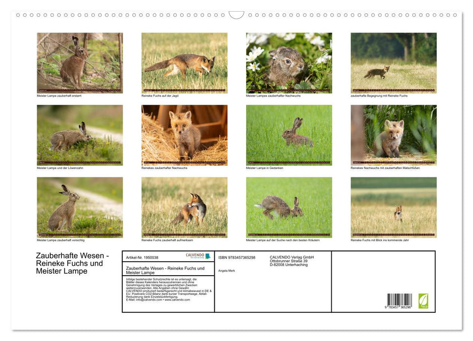 Zauberhafte Wesen - Reineke Fuchs und Meister Lampe (CALVENDO Wandkalender 2026)