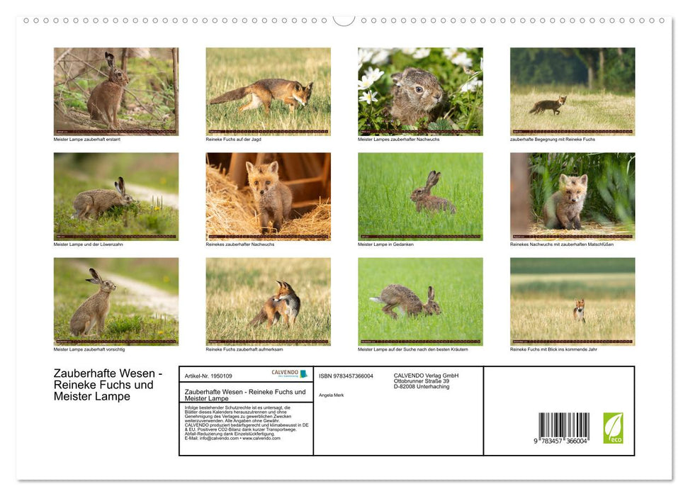 Zauberhafte Wesen - Reineke Fuchs und Meister Lampe (CALVENDO Premium Wandkalender 2026)