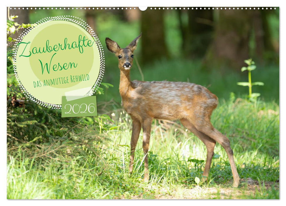Zauberhafte Wesen - anmutiges Rehwild (CALVENDO Wandkalender 2026)