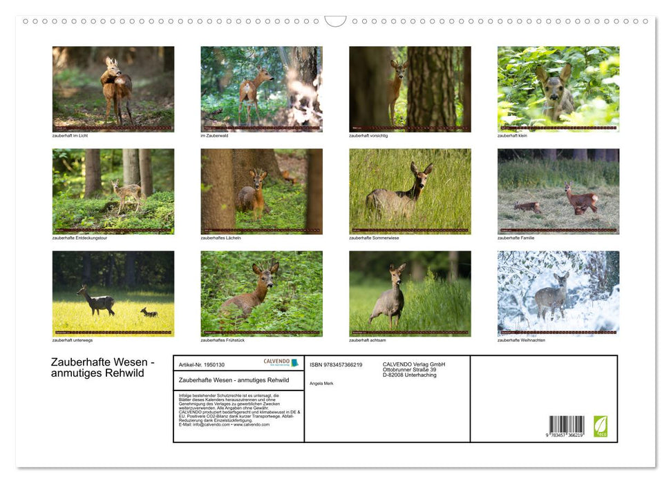 Zauberhafte Wesen - anmutiges Rehwild (CALVENDO Wandkalender 2026)
