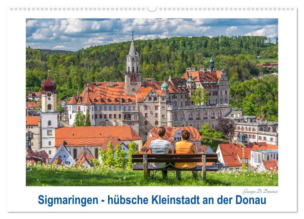 Sigmaringen - hübsche Kleinstadt an der Donau (CALVENDO Wandkalender 2026)