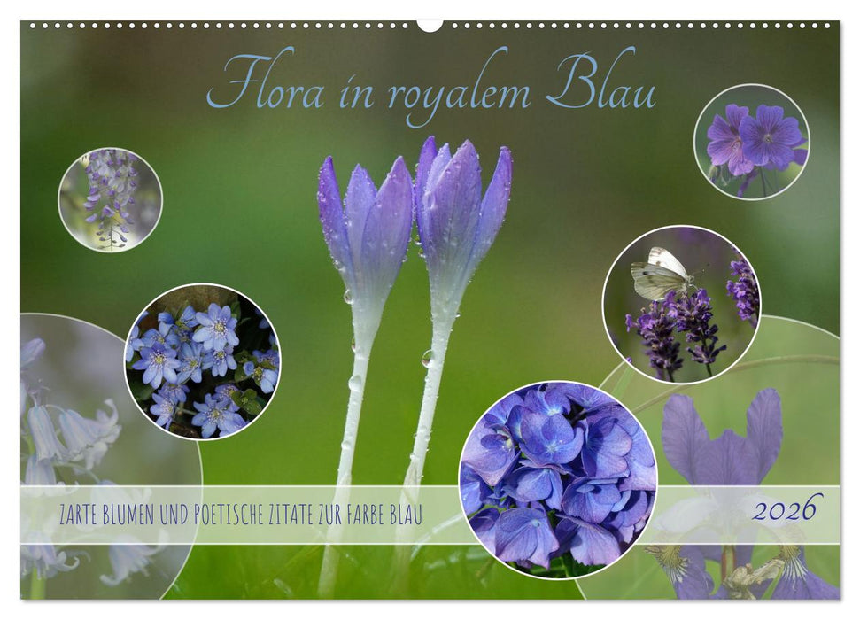 Flora in royalem Blau (CALVENDO Wandkalender 2026)