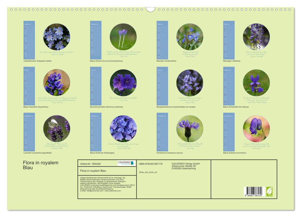 Flora in royalem Blau (CALVENDO Wandkalender 2026)