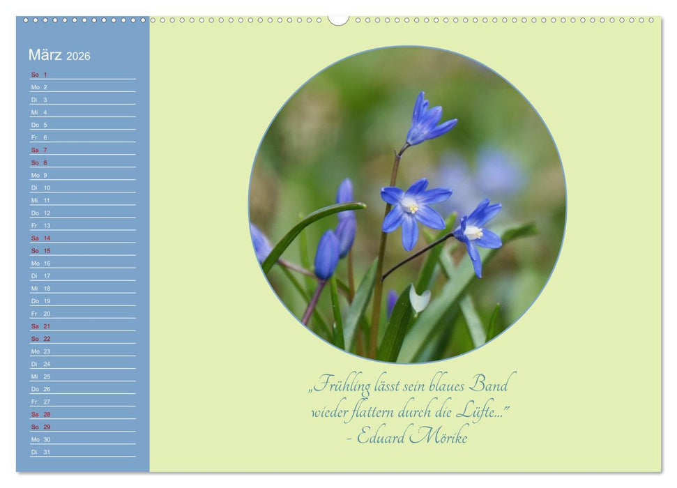 Flora in royalem Blau (CALVENDO Wandkalender 2026)