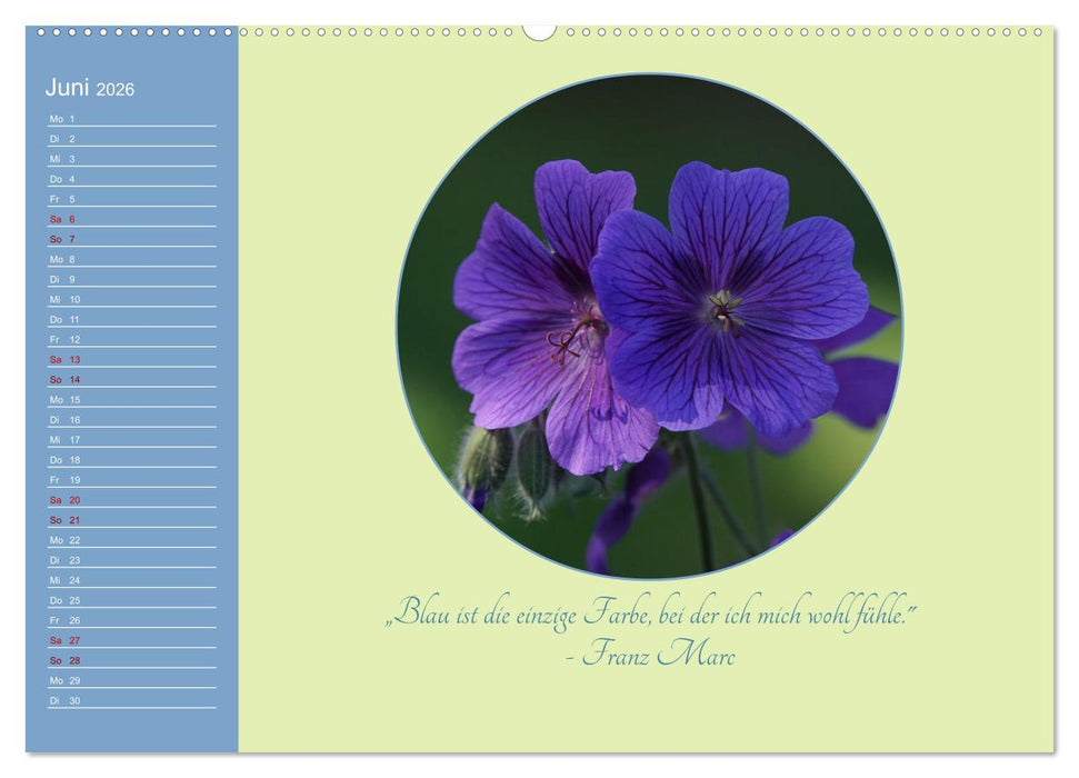 Flora in royalem Blau (CALVENDO Wandkalender 2026)