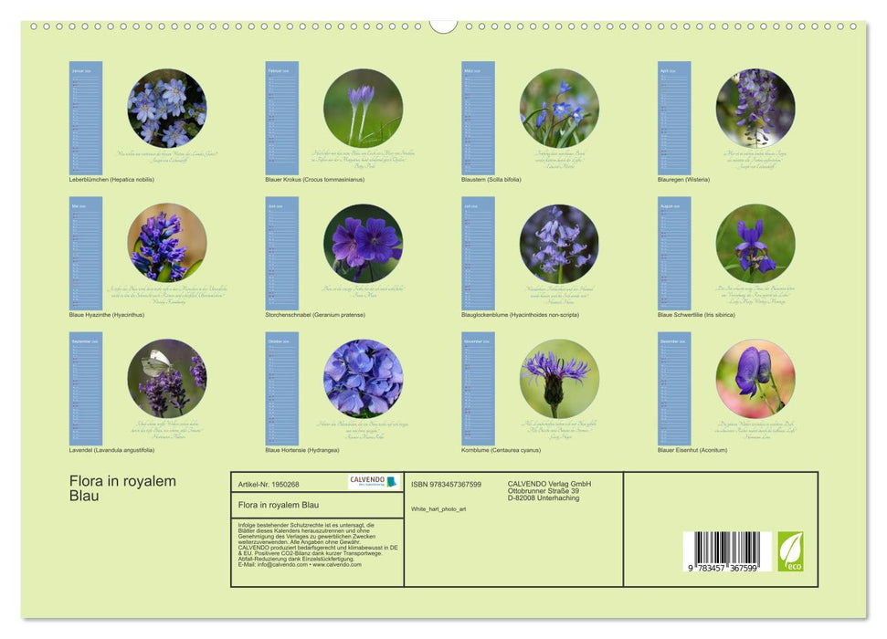 Flora in royalem Blau (CALVENDO Premium Wandkalender 2026)