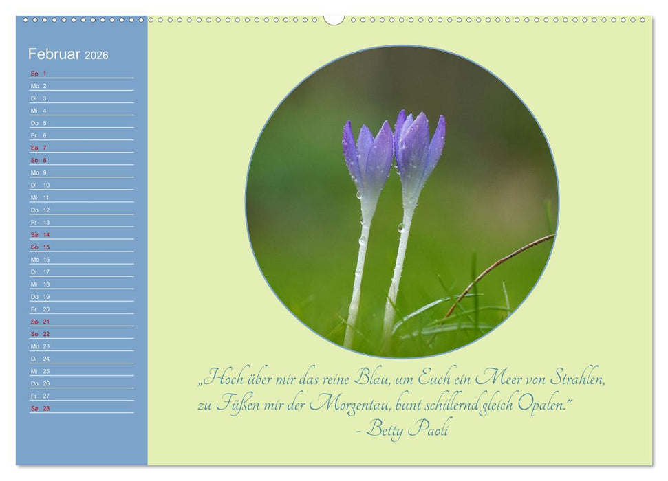 Flora in royalem Blau (CALVENDO Premium Wandkalender 2026)