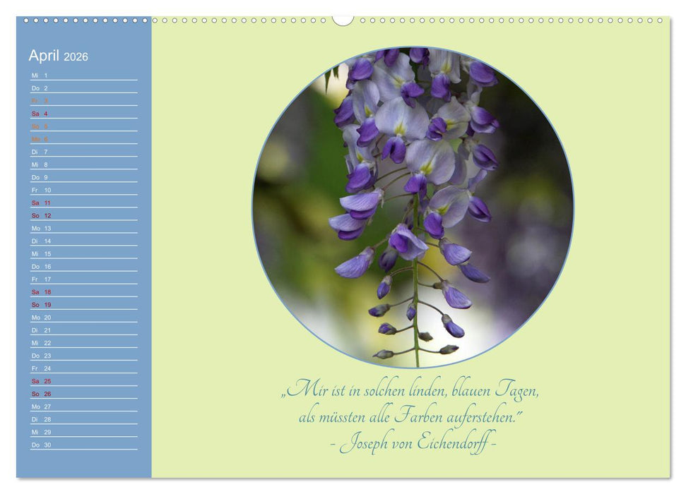 Flora in royalem Blau (CALVENDO Premium Wandkalender 2026)