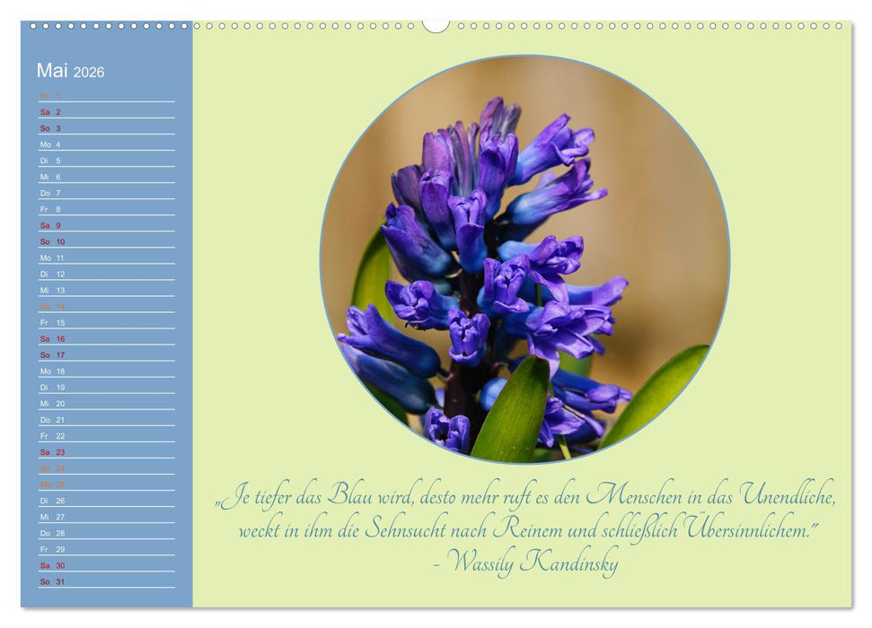 Flora in royalem Blau (CALVENDO Premium Wandkalender 2026)