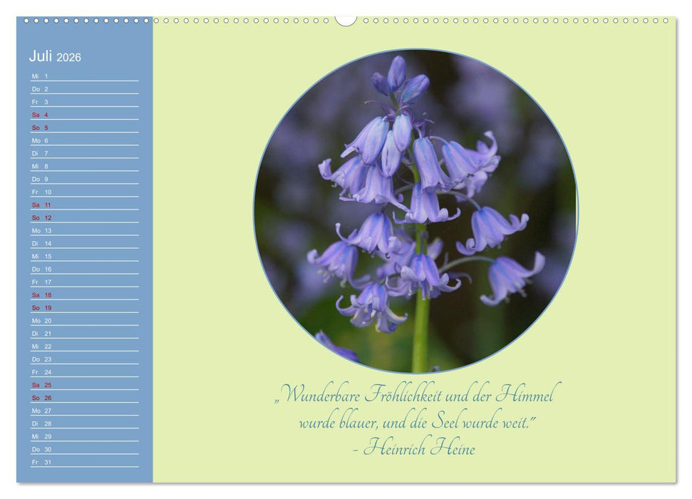 Flora in royalem Blau (CALVENDO Premium Wandkalender 2026)