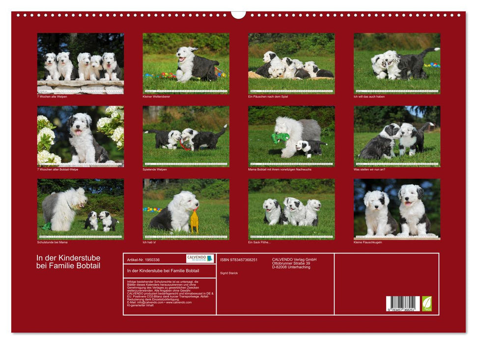 In der Kinderstube bei Familie Bobtail (CALVENDO Wandkalender 2026)