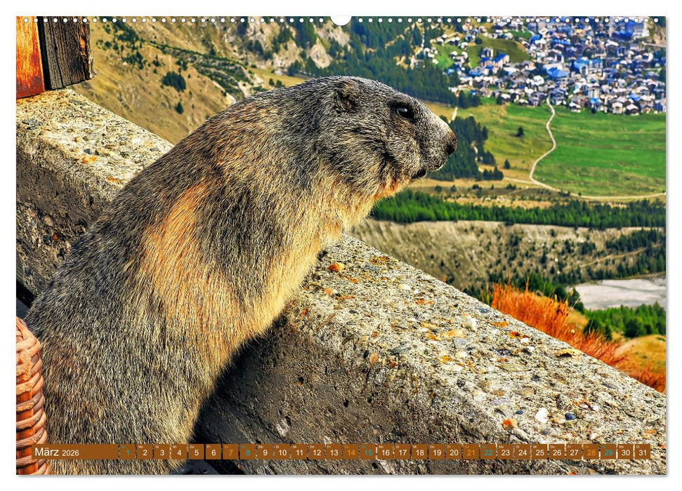 Hotspots im Wallis - Schweiz (CALVENDO Premium Wandkalender 2026)