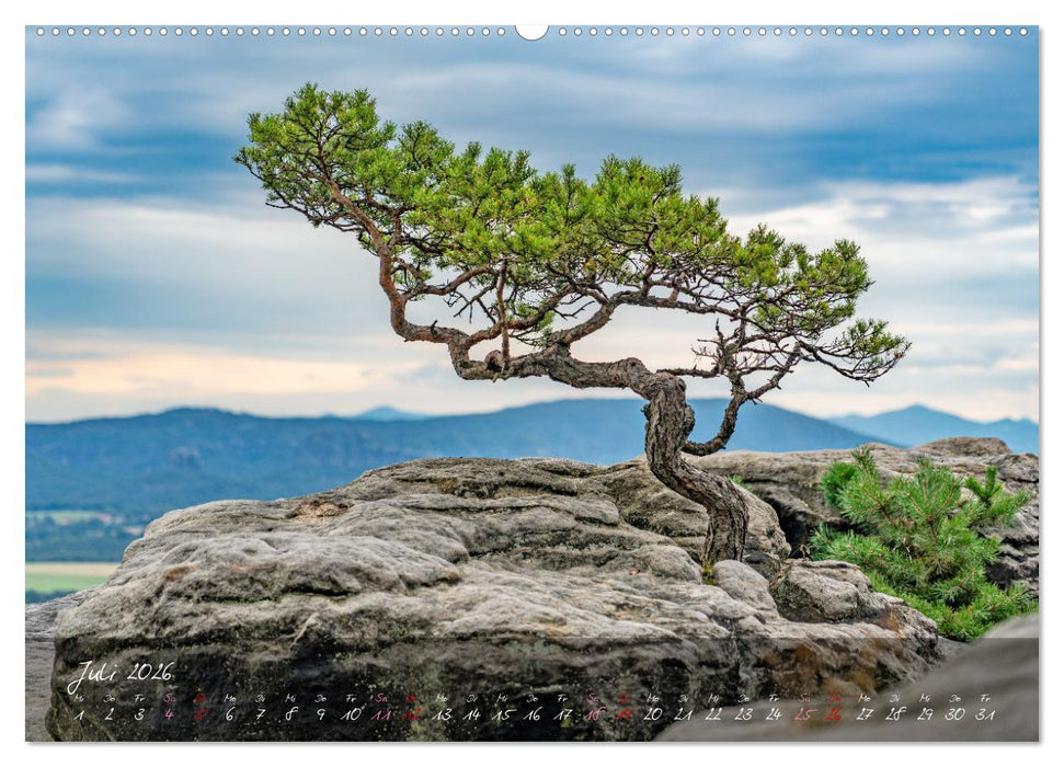 Landschaften der Sächsischen Schweiz (CALVENDO Premium Wandkalender 2026)