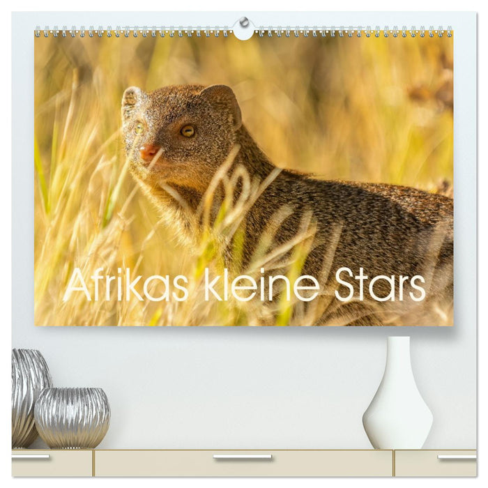 Afrikas kleine Stars (CALVENDO Premium Wandkalender 2026)