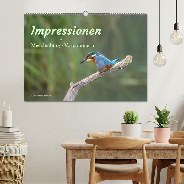 Impressionen aus Mecklenburg - Vorpommern (CALVENDO Wandkalender 2026)