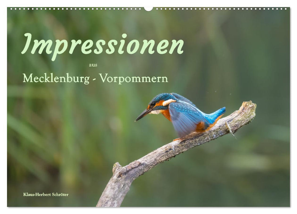 Impressionen aus Mecklenburg - Vorpommern (CALVENDO Wandkalender 2026)