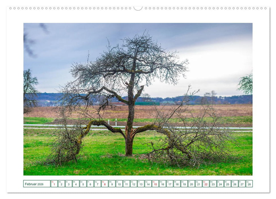 Gottmadingen im Hegau (CALVENDO Premium Wandkalender 2026)