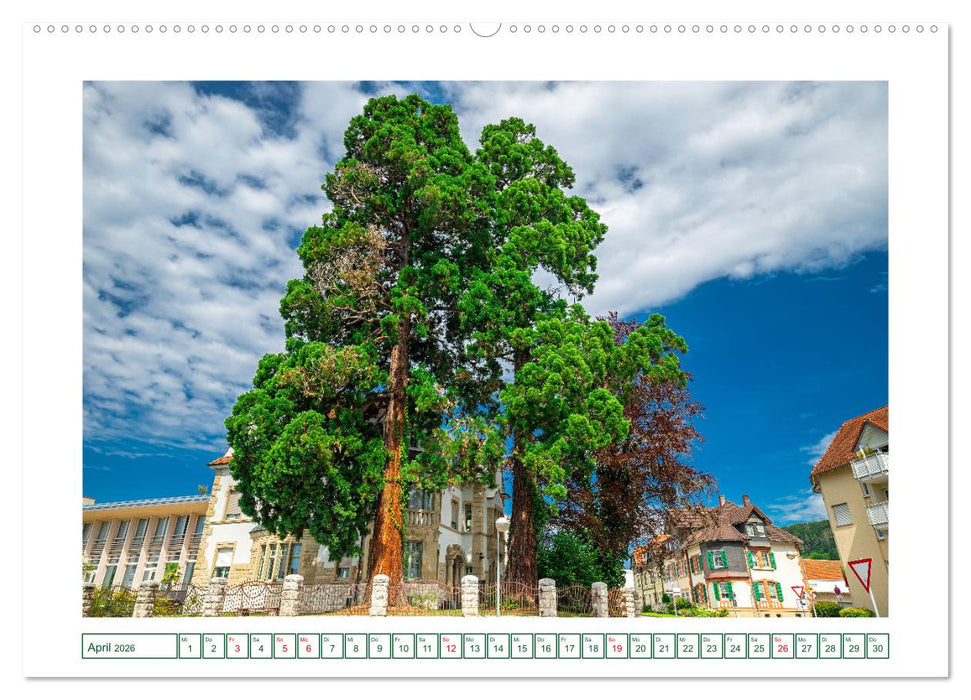 Gottmadingen im Hegau (CALVENDO Premium Wandkalender 2026)