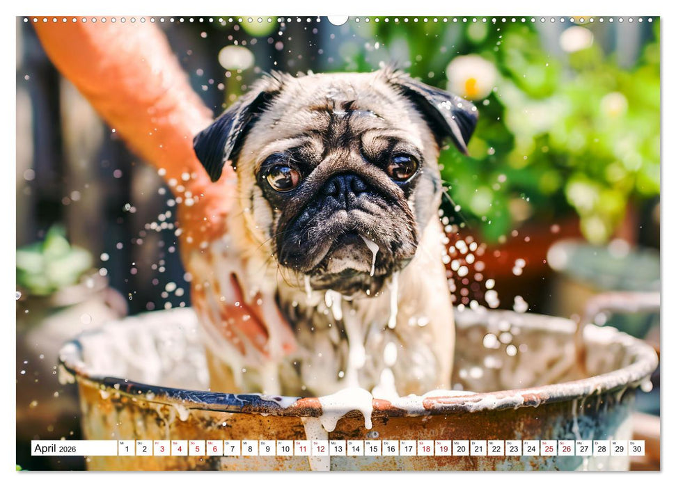 Mops-Mania - Der Spaßkalender für Mops-Fans (CALVENDO Wandkalender 2026)