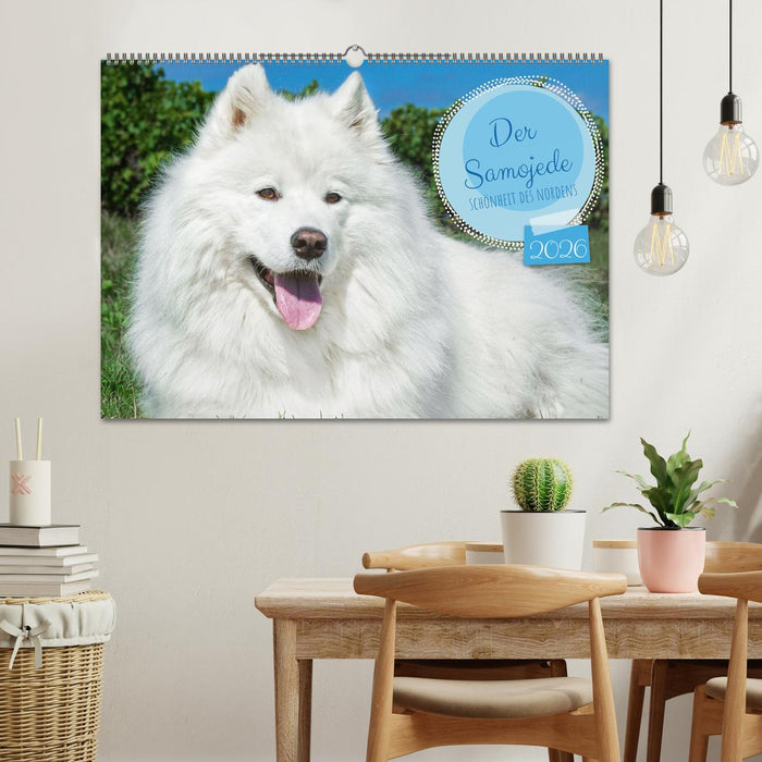 Der Samojede - Schönheit des Nordens (CALVENDO Wandkalender 2026)