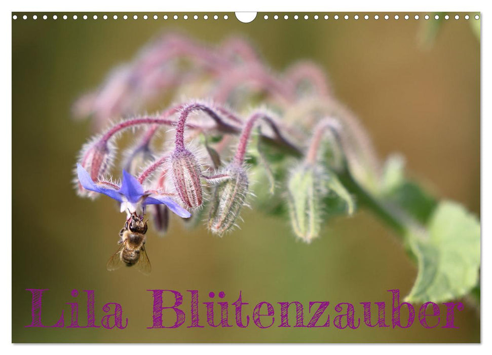Lila Blütenzauber (CALVENDO Wandkalender 2026)