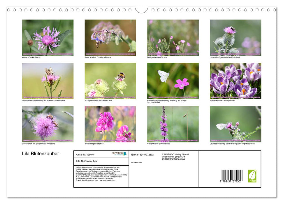 Lila Blütenzauber (CALVENDO Wandkalender 2026)