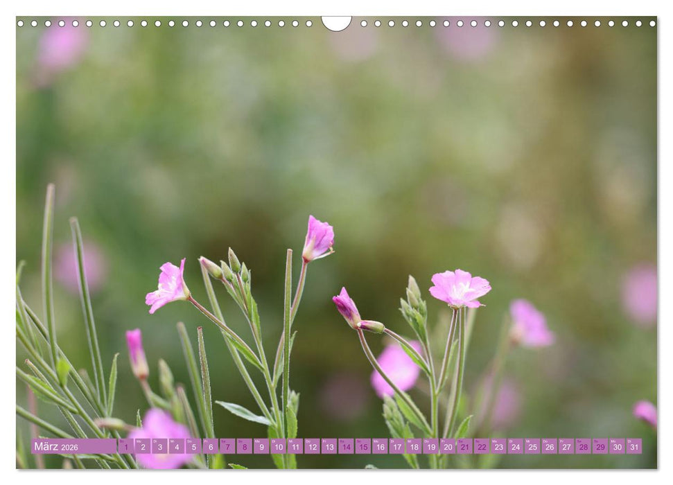 Lila Blütenzauber (CALVENDO Wandkalender 2026)