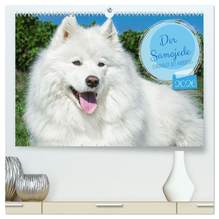 Der Samojede - Schönheit des Nordens (CALVENDO Premium Wandkalender 2026)
