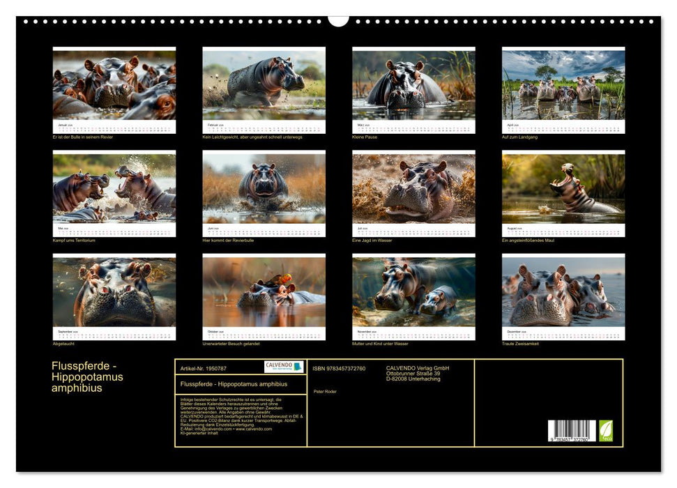 Flusspferde - Hippopotamus amphibius (CALVENDO Wandkalender 2026)